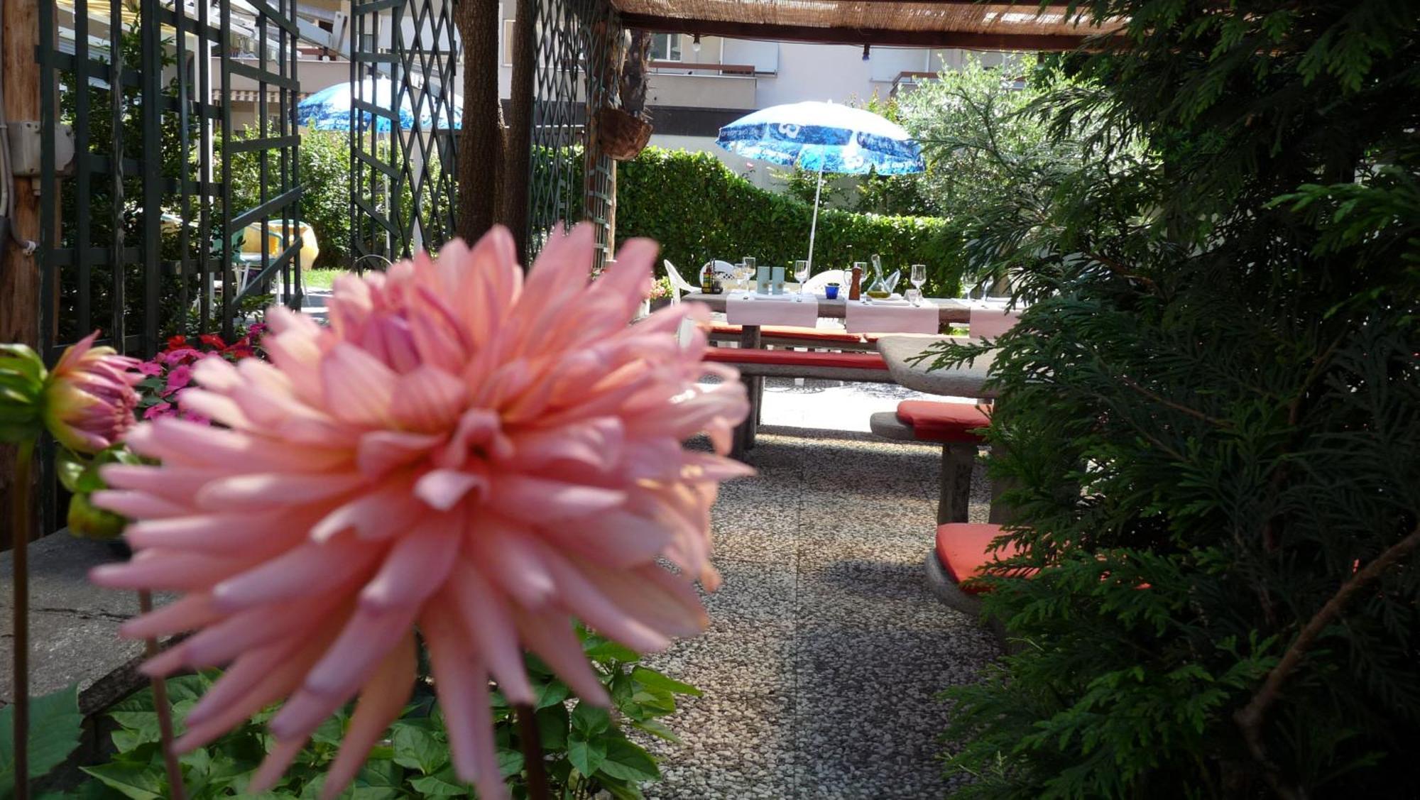 Osteria Ticino By Ketty & Tommy Hotel Ascona Bagian luar foto
